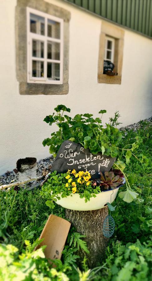 Hotel Neue Hoehe Klingenberg ภายนอก รูปภาพ