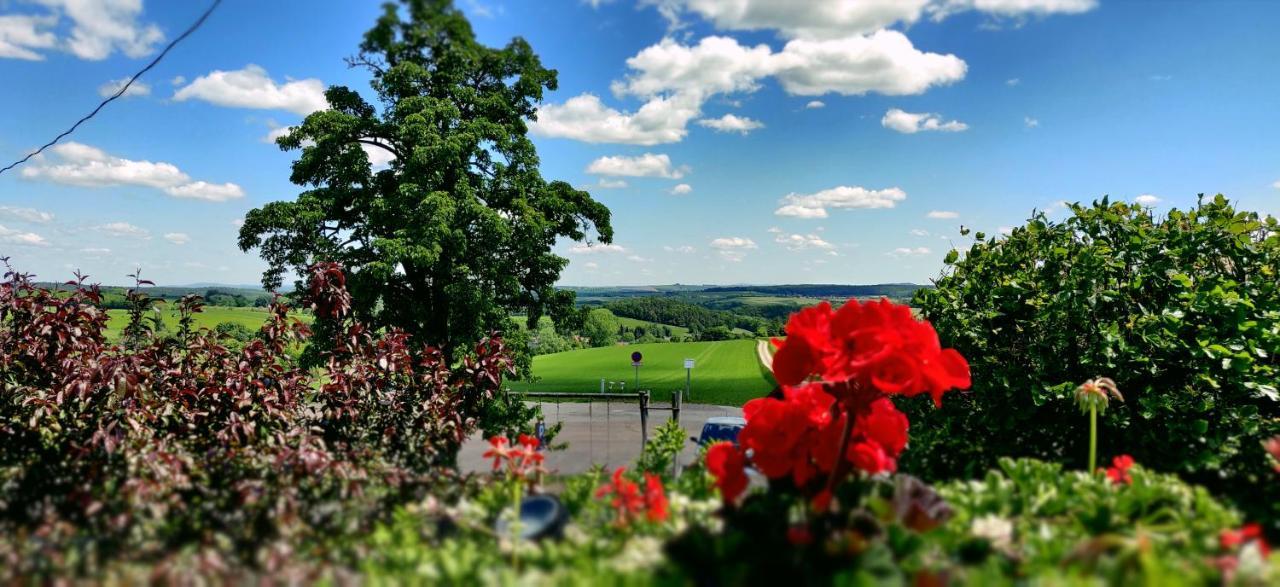 Hotel Neue Hoehe Klingenberg ภายนอก รูปภาพ