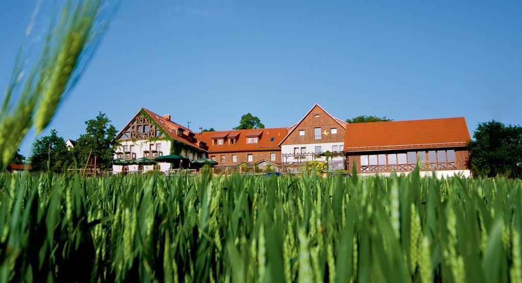 Hotel Neue Hoehe Klingenberg ภายนอก รูปภาพ